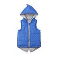 Kiapeise Kids Toddler Baby Girl Boy Dinosaur Vest Hoodie Sleeveless Waistcoat Warm Jacket Outwear with Zipper