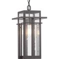 Progress Lighting - One Light Hanging Lantern - Outdoor - Boxwood - Outdoor