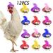 12 Pieces Chicken Hats Hen Mini Hat Chicken Helmet Accessories Feather Hat Funny Small Pet Hat for Animal Costume (Fresh Color Classic Style)