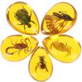 5Pcs Insect Specimen Amber DIY Resin Insects Artificial Amber Pendant Crafts Making Specimen