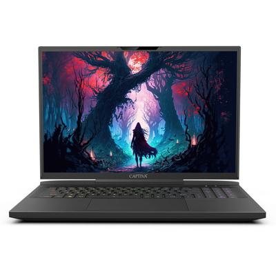 CAPTIVA Gaming-Notebook "Highend Gaming I81-498" Notebooks Gr. 16 GB RAM 1000 GB SSD, Core i9, Microsoft Windows 11 Home (64 Bit), schwarz