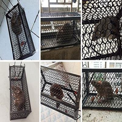 Wellco Mouse Trap Cage, Single Door