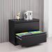2 Drawer Lateral Filing Cabinet for Legal/Letter A4 Size, Large Deep Drawers Locked by Keys, Locking Wide File Cabinet