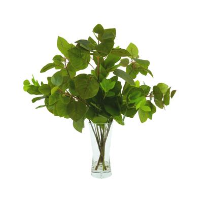 Ficus and Cotinus Arrangement in Glass Vase - Gree...