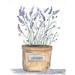 Ophelia & Co. Lavender Pot On Canvas by Roey Ebert Print Canvas in Indigo/Orange | 12 H x 8 W x 1.25 D in | Wayfair
