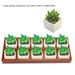 10 Slots Multifunctional Wooden Succulent Storage Box Organizer for Potted Plant Makeup