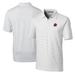 Men's Cutter & Buck White Rochester Red Wings Big Tall Forge Pencil Stripe Stretch Polo