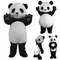 Costume de mascotte de dessin animé Panda, tenues de spectacle, Costume d