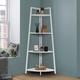 17 Stories CAPHAUS Wonnie 4-Tier Display Shelves, Ladder Corner Wood Storage Plant Bookshelf Metal in White | Wayfair