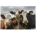 Dreamtimes Three Cows Jigsaw Puzzle 1000 Pieces Wooden Puzzles Family Games Toy Gift Home Decor Artwork for Kids Teenagers and Adults