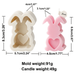 YEAHOO Easter Silicone Flat Bunny Candle Mold Cartoon Bunny Love Plum Round Aroma Plaster Candle Holder Mould DIY Craft Tools(love)