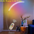 Lampadaire de pêche avec télécommande éclairage intérieur à intensité variable RVB CCT