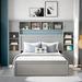 Red Barrel Studio® Gleb Bookcase Bed w/ Shelves & Cabinets, Sockets, Two Drawers & A Trundle Wood in Gray | 62.6 H x 92.8 W x 94.3 D in | Wayfair