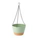 10 Inch Hanging Planter Plastic Self-Absorbent Hanging Flower Plant Pot with Drainage Holes Removable Trays for Garden Home Patio Decorations