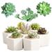 Fake Succulents Unpotted - 11 Pack - Realistic Succulent Plants Artificial - Large Faux Succulent Bulk DIY Home Decor - Fake Plant Cactus Greenery - Premium Mini Artificial Succulent Flowers