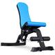 Adjustable Weight Bench,Home Dumbbells Bench Workout Bench Weight Lifting Sit Up Ab Benches, Home Training Gym Flat Incline Decline Bench for Full Body Workout (Blue)