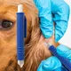 Dissolvant de puces pour chiens pince à épiler pour animaux de compagnie pince à tiques pour chats