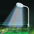 Mini lampe LED pour aquarium lampe de croissance des plantes précieuses lumière Tetra émetteur de