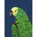 Winston Porter Parrot Head Navy by Pamela Munger Print Paper in Blue/Green | 16 H x 12 W x 1.25 D in | Wayfair 28D7208E6AD443DBB676CA34D459B257