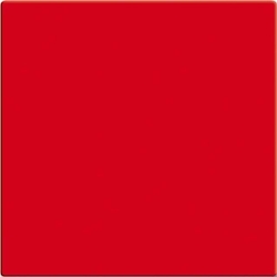 Busch-Jaeger Wippe rt 2506-917 2CKA001731A2003 Image