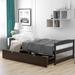 Twin Size Simple And Exquisite Style Platform Bed With Two Drawers As Storage Space