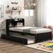 Grey Twin Elegance Platform Bed With Trundle,Bookcase,Storage Headboard