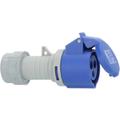 Brennenstuhl 1081020020 Femelle CEE 16 A 3 pôles 230 V 1 pc(s)