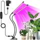 Kinsi - Lampe pour plantes led Lumière pour plantes, lumière de croissance des plantes, spectre