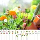 Piquets de papillon de simulation pour la décoration extérieure jardinière de jardin pots de