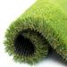 ColourTree Realistic Deluxe Artificial 1.98 inch Height Grass Synthetic Thick Lawn Turf Carpet | 1.98 H x 36 W x 828 D in | Wayfair TGC50-3' x 69'