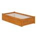 AFI Furnishings Concord Queen Platform Bed w/ Footboard & Storage Drawers in Light Toffee Wood in Brown | 16.54 H x 41.65 W x 77.52 D in | Wayfair