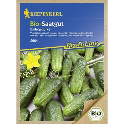 Bio-Saatgut Gurke Diamant Cucumis sativus, Inhalt 14 Korn Gemüsesamen - Kiepenkerl