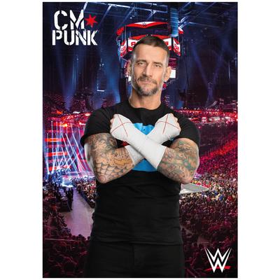 WWE CM Punk Crowd Poster – ungerahmt A3 Image