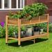 DWVO Raised Garden Bed with Planter Box with Storage Shelf & Lockable Wheels Elevated Wooden Planter Box Stand for Backyard Patio Balcony 450lb Capacity - Brown