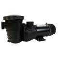 Rx Clear Extreme Force Dual Speed Above Ground Pump 1 1/2 HP