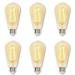 Westinghouse Lighting 5317800 6.5 Watt (60 Watt Equivalent) ST20 Dimmable Amber Filament LED Light Bulb Medium Base