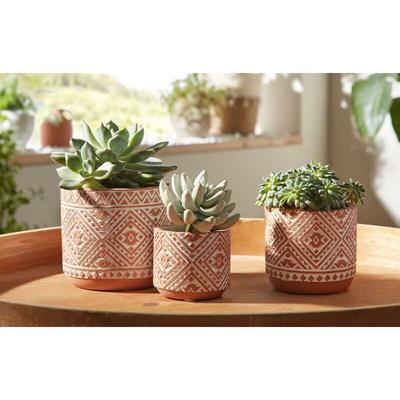 3x Blumentopf 'Terra' aus Zement in Terracotta Optik / weiß, Übertopf Set, Pflanztopf, Pflanzgefäß