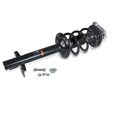 Gh Federbein komplett vorne [Hersteller-Nr. GH-351960C02] für Fiat, Peugeot, Citroën