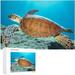 Dreamtimes Wooden Jigsaw Puzzles 500 Pieces Beautiful Sea Turtle Swimming in The Sea Educational Intellectual Puzzle Games for Adults Kids