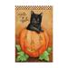 Trademark Fine Art Trick Or Treat Black Cat Canvas Art by Melinda Hipsher