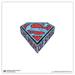Gallery Pops DC Comics Superman - Man of Steel Icon Wall Art Unframed Version 12 x 12