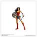 Gallery Pops DC Comics Wonder Woman - Wonder Woman With Sword and Shield Wall Art Unframed Version 12 x 12