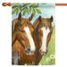 Twin Horses Outdoor House Flag 40" x 28"