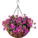 Primrue Daisy Hanging Basket Arrangement in Basket Silk/Plastic in Red | 22 H x 18 W x 18 D in | Wayfair 9792D95888934DB68980FA88C9E3D9EF