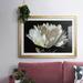 Winston Porter White Peony Framed On Paper Print in Black/Brown/White | 19 H x 27 W x 1.5 D in | Wayfair 29F9177E17DA45CE89E5529C992A98E8