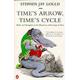 Time's Arrow, Time's Cycle - Paperback - Used