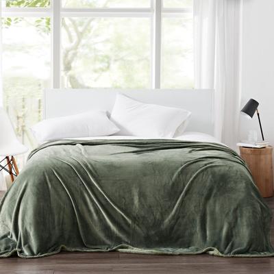 Solid Plush Blanket by Cannon in Green (Size TWINXL)