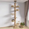 Arbre à Chat en Bois Multifonction Jouet d'Escalade pour Chaton Poteaux à Gratter Tour Lit Hamac