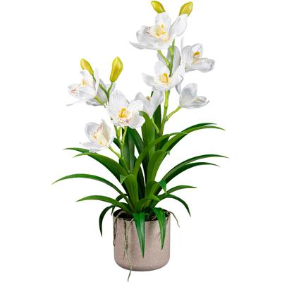 Kunstorchidee CREATIV GREEN "Orchidee Cymbidie", weiß, H:58cm, Kunstpflanzen, mit traumhaft schönen Blüten Image