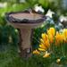 WICVIK Sunflower Bird Bath for Outdoor with Brown Pedestal Handmade Wild Bird Feeder Birdbath Bowls for Garden Polyresin Bird Feeder Outdoor Garden Lawn Yard Decorations